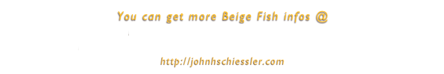 You can get more Beige Fish infos @
https://www.reverbnation.com/beigefish
https://www.facebook.com/BEIGE-FISH-111814942234994/
http://johnhschiessler.com
